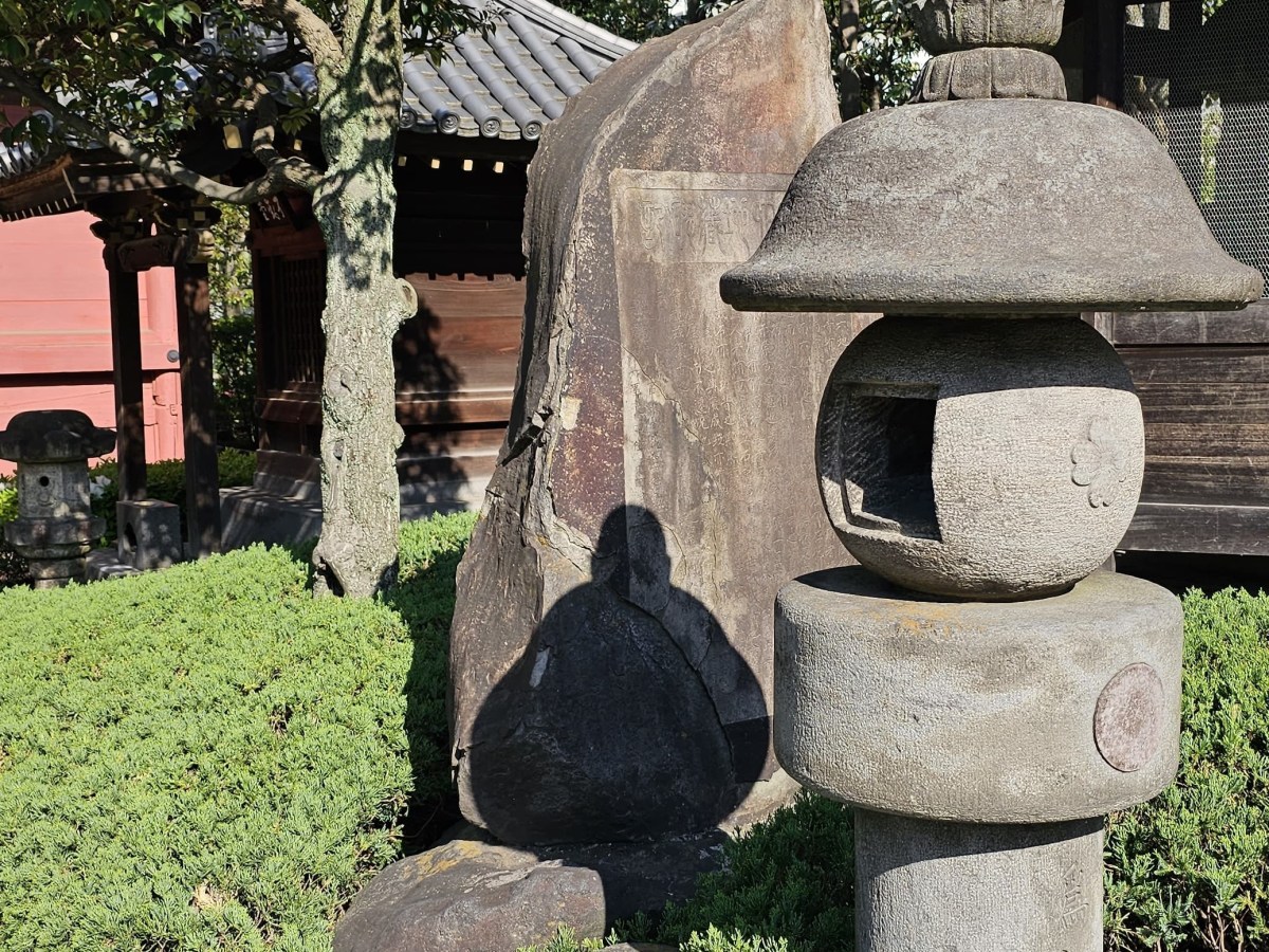 “Quiet The Mind and The Soul Will&nbsp;Speak”